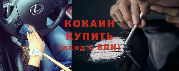 ГАЛЛЮЦИНОГЕННЫЕ ГРИБЫ Инсар