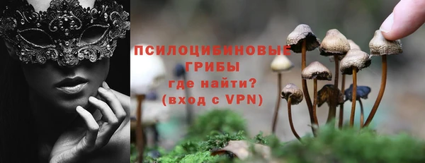 ГАЛЛЮЦИНОГЕННЫЕ ГРИБЫ Инсар
