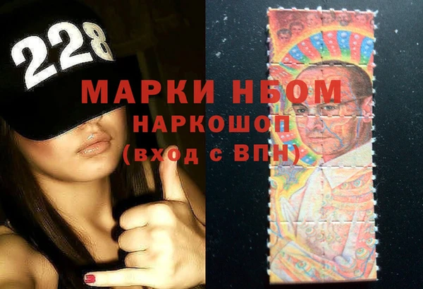 ГАЛЛЮЦИНОГЕННЫЕ ГРИБЫ Инсар