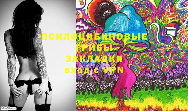 ГАЛЛЮЦИНОГЕННЫЕ ГРИБЫ Инсар