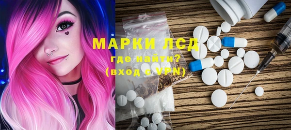 ГАЛЛЮЦИНОГЕННЫЕ ГРИБЫ Инсар