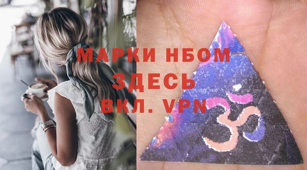 тгк Инта