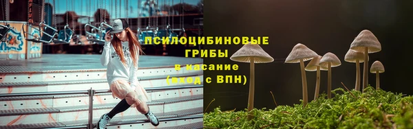 тгк Инта