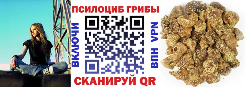 Псилоцибиновые грибы прущие грибы  Купить  Грязи 